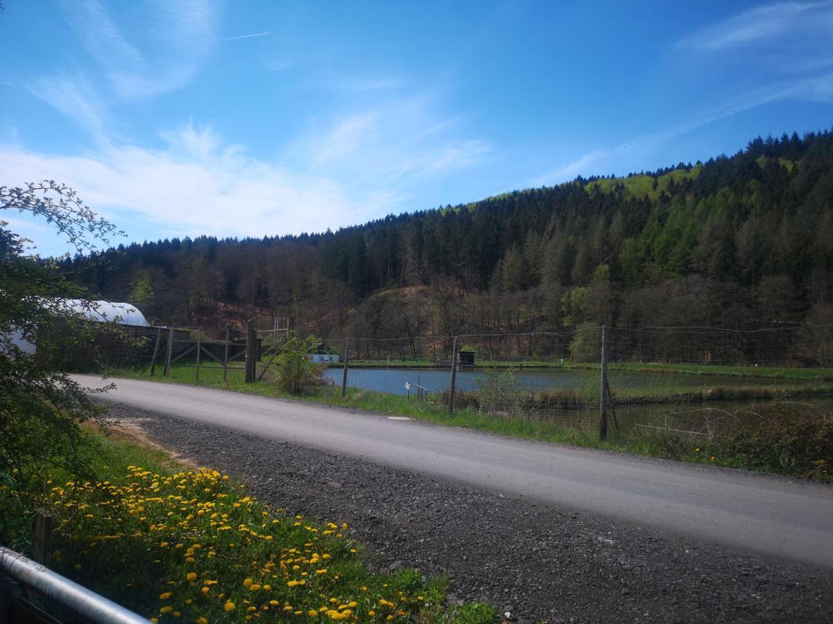 Ferienhaus Salmtal Himmerod Großlittgen 외부 사진