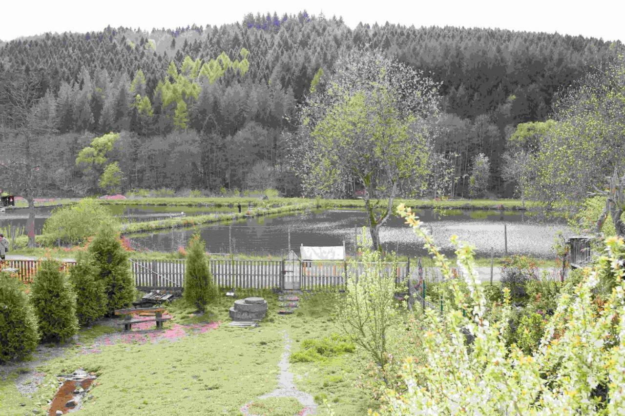 Ferienhaus Salmtal Himmerod Großlittgen 외부 사진