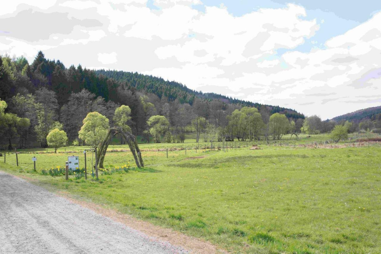 Ferienhaus Salmtal Himmerod Großlittgen 외부 사진